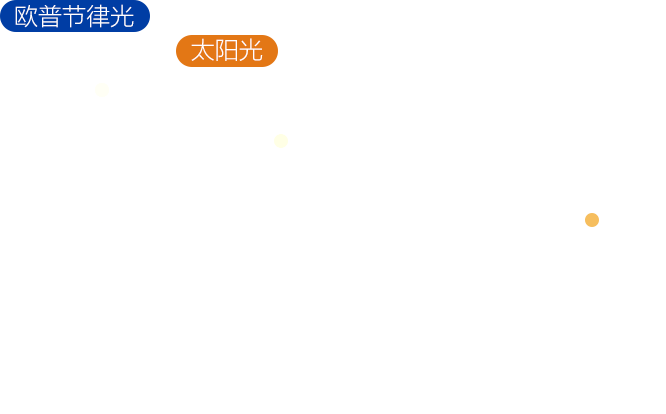 天生赢家一触即发(中文)官网